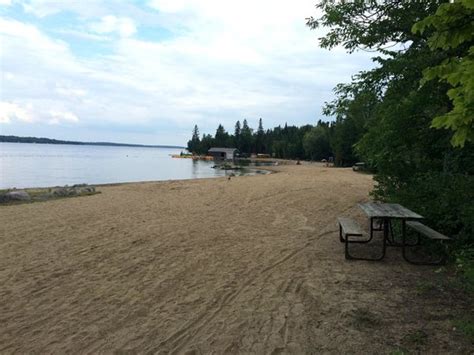 The Playground Picture Of Balsam Lake Provincial Park Kirkfield