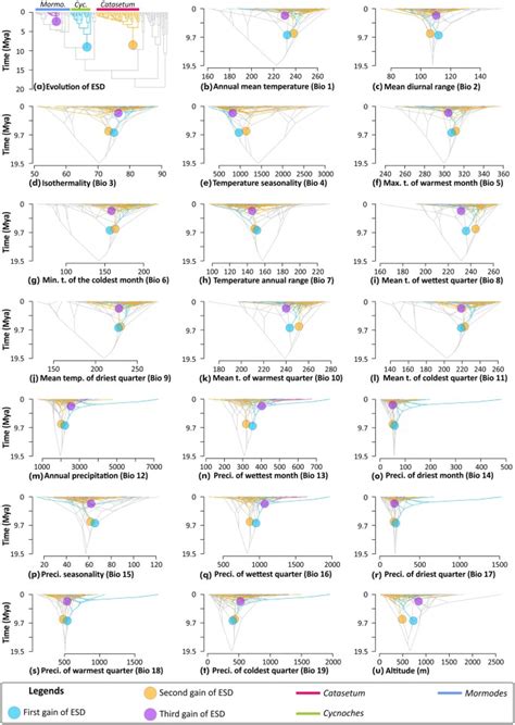 Multiple Geographical Origins Of Environmental Sex Determination Enhanced The Diversification Of