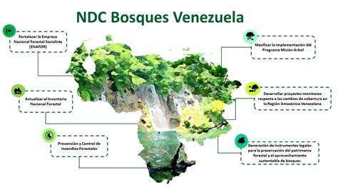 Observatorio Regional Amazónico NDC de Bosques