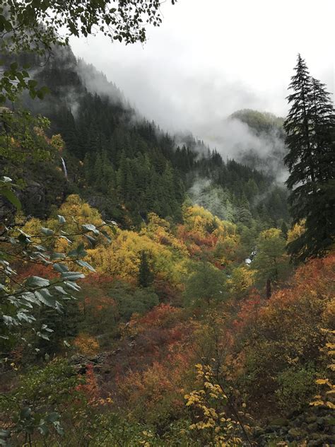 Cascade Mountains- hiking through clouds in the PNW : hiking