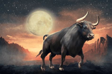 New Moon In Taurus And Tarot Readings For Each Zodiac Sign The