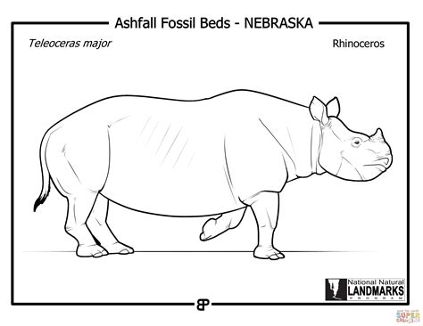 Kolorowanka Prehistoryczny Nosoro Ec Teleoceras Major Kolorowanki The
