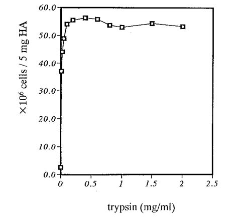 Effect Of Trypsin Concentration On P Nigrescens Cell Attachment To Ha