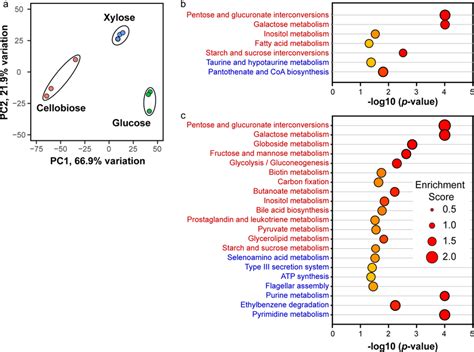 Overview Of The Transcriptomics Analysis A Principal Component