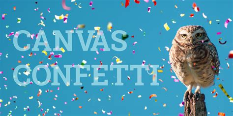 canvas-confetti - npm