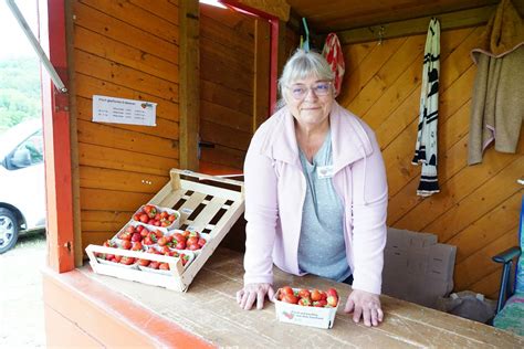 Erdbeeren Frisch Vom Feld Pfl Cken Das Sollten Sie Beachten