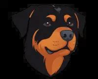 Rottweiler Bark Sound And Their Meaning - The Rottweiler Expert Site