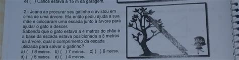 Joana Ao Procurar Seu Gatinho O Avistou Em Cima De Uma Rvore Ela