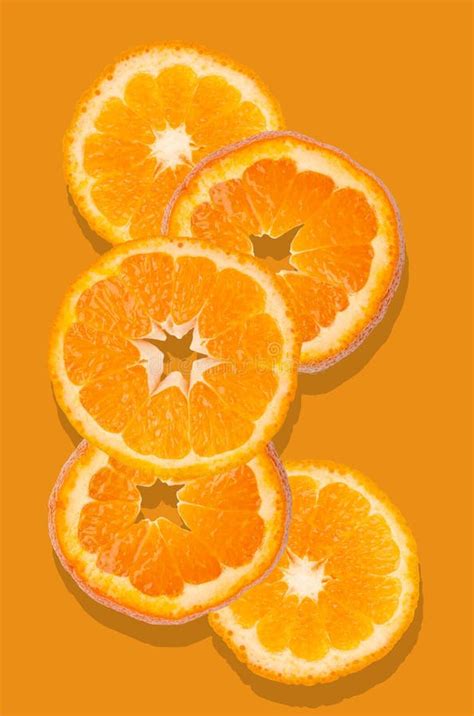 Orange fruit slices stock photo. Image of juicy, bright - 172474192