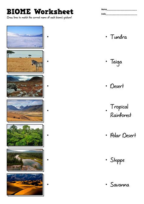 Free Worksheet For Biomes