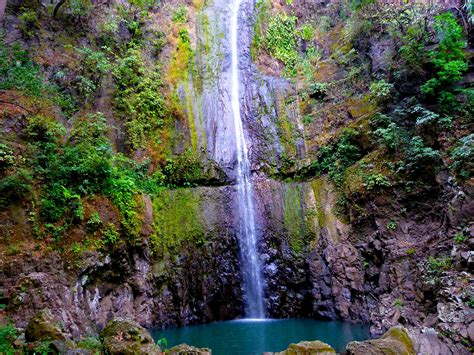 Visit Coffee Plantations In Nicaragua Matagalpa Coffee Farm Nicaragua