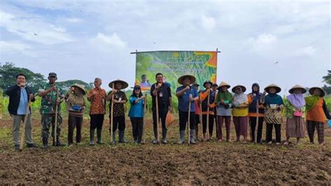 Antisipasi Krisis Pangan Kementan Galakkan Gerakan Tanam Tumpang Sisip