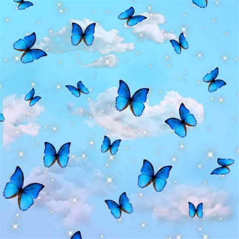 Download Blue Butterfly Background | Wallpapers.com