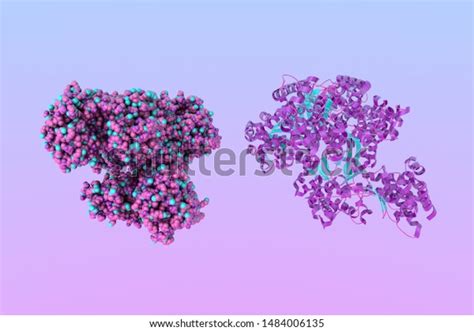 Anthrax Toxin Lethal Factor Molecular Crystal Stock Illustration