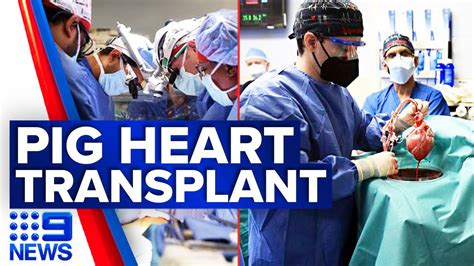 First Ever Pig To Human Heart Transplant Performed By Us Doctors