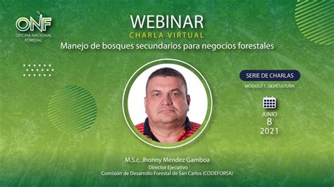 Manejo De Bosques Secundarios Para Negocios Forestales Youtube