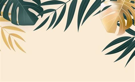 Palm Leaf Border Vector Art, Icons, and Graphics for Free Download