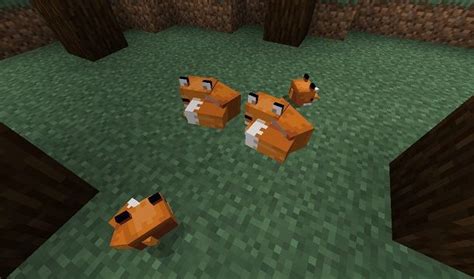 Come Addomesticare Una Volpe Su Minecraft Salvatore Aranzulla