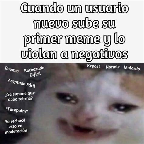 Memes De Gatos Llorando 2020 Mira Vota Y Comparte Los Mejores Memes Y S De Gatos En Espa Ol