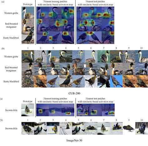 Figure 1 From Towards Human Interpretable Prototypes For Visual