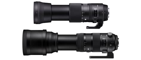 Sigma 150-600 Contemporary vs Sports: let us explain the differences | Digital Camera World