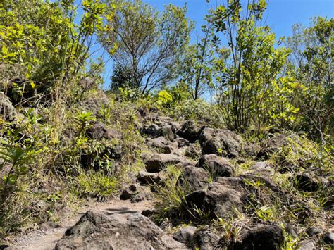 A Complete Guide to Arenal Volcano National Park – Paradise Catchers