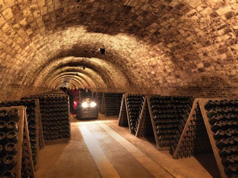 Codorníu Winery Guided Tour With Cava Tasting Kkday