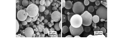 SEM Images Of A Gelatin And B PLGA Microspheres Loaded With Ceftiofur