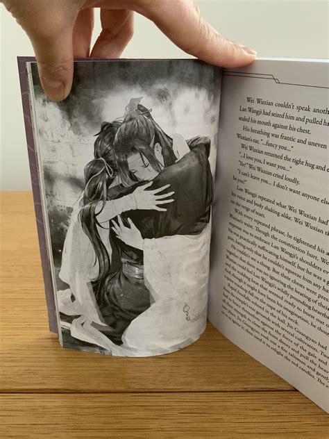 All The Art From Mdzs Volume 5 From Seven Seas Special Edition R