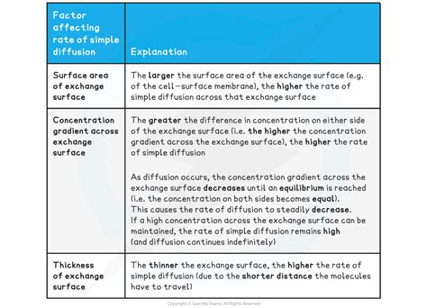 AQA A Level Biology复习笔记2 4 11 Adaptations for Rapid Transport 翰林国际教育