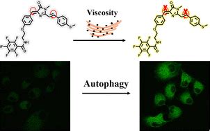 An Endoplasmic Reticulum Targeting Green Fluorescent Protein