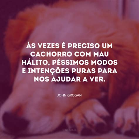 Frases De Amor Para Cachorro Que Enaltecem Seu C Opanheiro