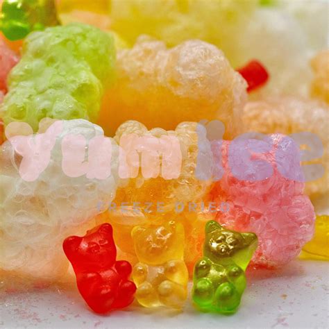 Freeze Dried Gummy Bears – Yum Ice Freeze Dried