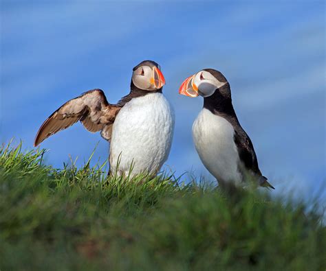 He Went That Way Photograph By Betsy Knapp Fine Art America