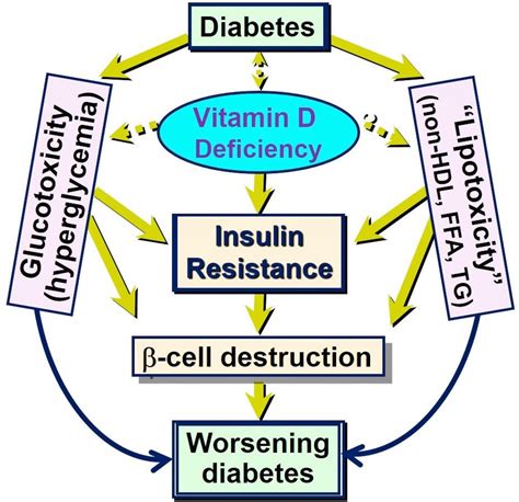 Vitamin D And Diabetes 2