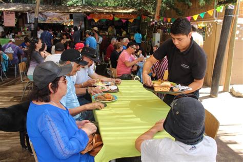 Feria Costumbrista De Paihuano Un Evento Tradicional Que No Te Puedes