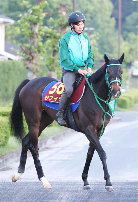 【オークス】全兄サリオスに半姉サラキア まさに「オークス血統」g1級の素質馬が虎視眈々 Umatoku 馬トク