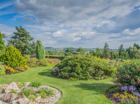 The National Garden Scheme Open Garden Champs Hill Coldwaltham Sussex Local