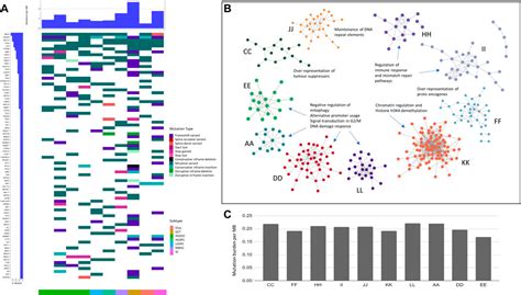 Frontiers Multi Omics Analysis Of The Indian Ovarian Cancer Cohort