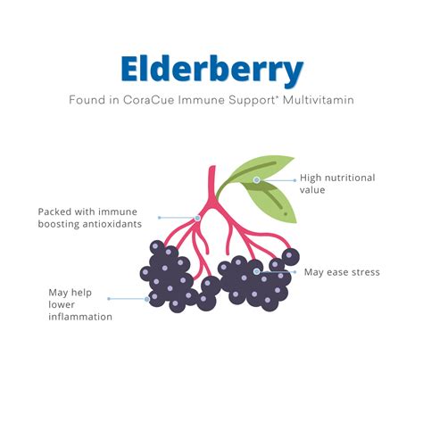 The Health Benefits Of Elderberries Blog