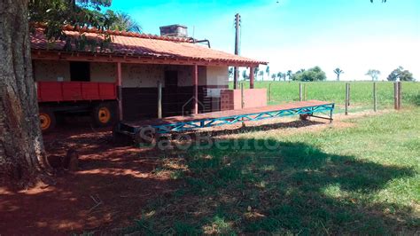 C D Fazenda Rural Cardoso Sp