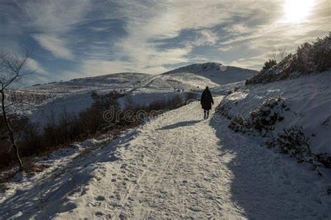 Walker on the Malvern Hills in Snowy Weather Stock Photo - Image of ...