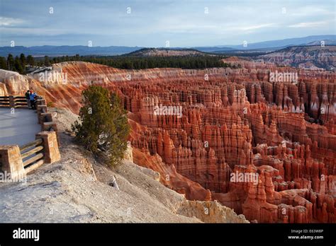 Hoodoos In Bryce Amphitheater Seen From Inspiration Point Bryce