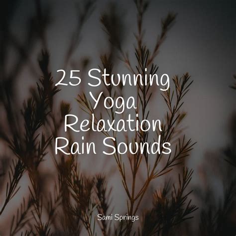 25 Stunning Yoga Relaxation Rain Sounds Album By Organic Nature