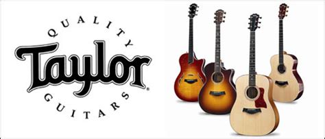 Taylor Guitars « Acoustic « Guitar Cleaning