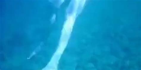 Topless Thick MILF Under The Water For Voyeurs Tnaflix