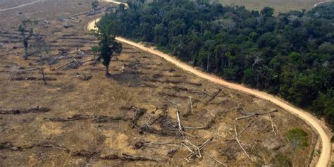 Deforestaci N En Amazon A Brasile A Alcanza R Cord Al Avanzar En