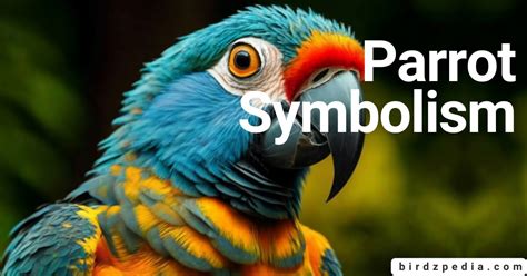 PARROT SYMBOLISM: Insights and Interpretations