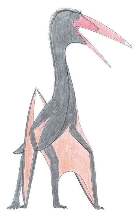 Hatzegopteryx By Suchomimus62 On Deviantart