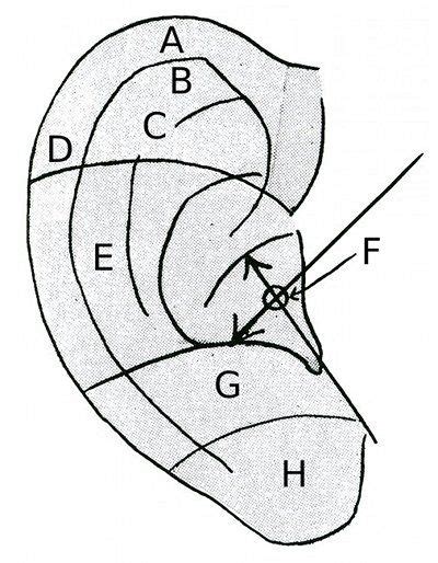 Polarity Therapy Volume Book Chart Polarity Therapy Therapy